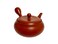 Japanese Kyusu tokoname Clay Teapot 10.8 fl.oz. Takeharu Red Clay Streak pattern from Japan