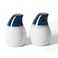 ZEBERBO Ceramic Salt and Pepper Shakers Set, Cute Modern Farmhouse Kitchen Decor, Salt Shaker, Salt and Pepper Set of 2, Salt Container for Kitchen Table Home (Blue &amp; White)