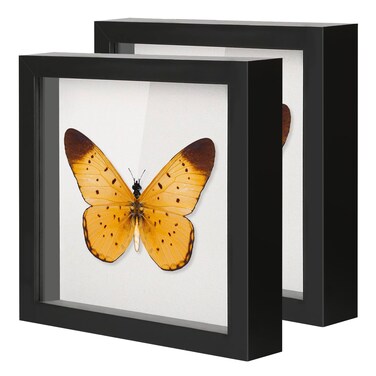 QDSSDECO 8"x8" Shadow Boxes Display Cases with Soft Linen Back Deep Wood Glass 3D Shadow Box Set for Wall and Tabletop, 3 Pack Black