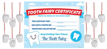 Nikki's Knick Knacks Tooth Fairy Certificate and Tooth Saver Necklace Fairy Boxes - Dentist Tooth Fairy Set