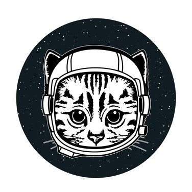 EvolveFISH Space Cat Bumper Sticker - [5" Diameter]