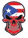 Puerto Rican Flag Skull Vinyl Decal - Puerto Rico Bumper Sticker - Proud Puerto Rico Sticker