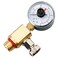 Misakomo 24850-0105 Air Relief Valve and Gauge Assembly - Brass Valve and Gauge with Dial Compatible with Sta-Rite System 3 Modular Media SM Series Pool and SPA Cartridge Filter