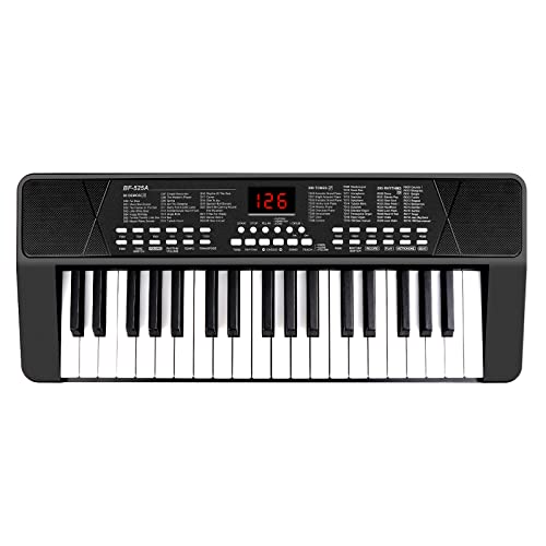 msanmersen Msanmersen Piano Keyboard For Beginners