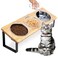 Elevated Cat Food Bowl, 15&deg;Tilted Cat Bowl Stand with 3 Stainless Steel Raised Cat Bowls for Food and Water, Anti Vomit Feeding Station for Indoor Cats and Pet