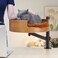 ZBUQ Cat Bed Desk with Pet Mat, Cat Hammock for Desk, Cat Bed Desk with Wooden Bowl, 360&deg; Rotation and Adjustable Height, Coffee