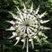 Generic Magical Metal Windmill Wind Spinner Decoration Wind Powered Wind Catchers Sculpture for Garden Lawn Yard Patio,Kinetic Wind Spinners Outdoor Decoration, Silvery, te343