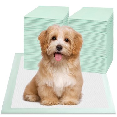 Puppy Pee Pads 100PCS Disposable Pet Toilet Training Pads 18" x 13" for Dogs, Ultra Absorbent Quick Dry Leak-Proof Pet Potty Pads for Dog, Cat, Rabbits and Guinea Pigs (Green)
