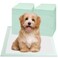 Puppy Pee Pads 100PCS Disposable Pet Toilet Training Pads 18" x 13" for Dogs, Ultra Absorbent Quick Dry Leak-Proof Pet Potty Pads for Dog, Cat, Rabbits and Guinea Pigs (Green)