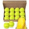 LByng 12 Pack Sports Practice Softballs, 11 Inch Slow Pitch Official Size and Weight Softballs, Unmarked Leather Covered Training Ball for Games, Practice and Training