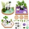 WEBEEDY 3 Sets Panda Mini Zen Garden Sandbox Miniature Zen Sand Garden Gift Set Sand Tray Play Kit Beautiful Japanese Meditation Relaxation Decor Therapy Gifts for Man Women Home Office Decor