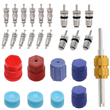 Taiss 27pcs Cap &amp; Valve Air Conditioning System Seal Caps Kit,R12 R134a Refrigeration Tire Valve Stem Cores F-096