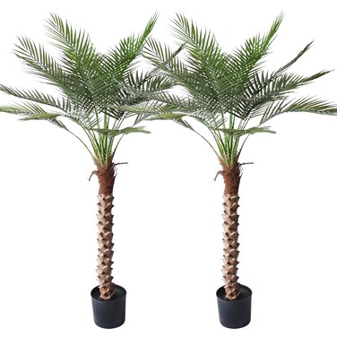 Innoasis Artificial Palm Tree 5FT Large Fake Sago Palm Plant with 18 Trunks Leaves Perfect Tall Faux Tree in Pot for Indoor Outdoor Home Office Garden Modern Decor Housewarming Gift (2 Pack)