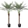 Innoasis Artificial Palm Tree 5FT Large Fake Sago Palm Plant with 18 Trunks Leaves Perfect Tall Faux Tree in Pot for Indoor Outdoor Home Office Garden Modern Decor Housewarming Gift (2 Pack)