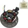 6 Coils Apollo Dirt Bike Ignition Stator Magneto with 6 Coil Pole 5 Wires Plug for 110cc 125cc 140cc Apollo DIRT PIT BIKE with lights Plug and Play (With Plate) / Pitster Pro Stomp Thumpstar