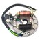 GEARLINTON 2 Coil Ignition Magneto Stator Plate for 50cc 70cc 90cc 110cc 125cc Taotao Kazuma Baja SSR Chinese ATV Quad Dirt Bike Scooter