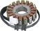 RICKS Stator Aprilia 21-020