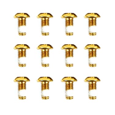 Golden 12pcs Mountain Bike Disc Brake Rotor Bolts MTB Bicycle M510mm Screws Stainless Steel T25 Cycle Bicycle Brake Disc Bolts Screw - Set of 12