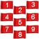 Riakrum 9 Pcs Golf Flags for Yard 8.9 x 5.7 Inch Mini Golf Flags Golf Pin Flags with Tube Inserted 1-9 Nylon Putting Green Flags Numbered Golf Flag for Yard Indoor Outdoor Backyard Garden Practice