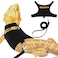 Bearded Dragon Harness and Leash Set - Escape Proof Adjustable Reptile Harness with 5 ft Detachable Leash for Amphibians and Small Pets - Perfect for Outdoor Walking