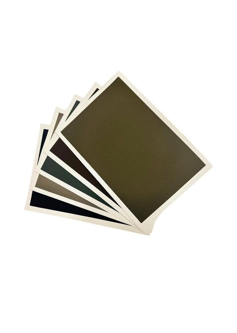 MAIMOUFIN 10 Sheets Sanded Pastel Paper of 5 Earth Tone Color,Artists Multiple Color Pastel Paper, Art Paper for Soft Pastels Oil Acrylic,Pencils &amp; Charcoal Painting (Bulk 10 Sheets 15.4&quot; x 10.7&quot;)