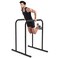 leikefitness Pull Up Dip Station Strength Training Dip Stands Station Tricep Dips Push-Ups For Home Gym (AB1102)