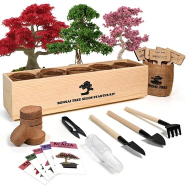Meekear Bonsai Tree Kit with Complete Growing Starter Kit, Great Potted Growing DIY Gift for Adults