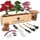 Meekear Bonsai Tree Kit with Complete Growing Starter Kit, Great Potted Growing DIY Gift for Adults