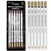 dainayw 6 Pcs White Charcoal Pencils Drawing Set, Professional Smooth Soft &amp; Medium Sketching Pencil Art Supplies for Drawing, Highlighting, Sketching, Blending