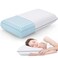 CushyOasis Memory Foam Pillows for Side, Back and Stomach Sleepers, Bed Pillow with Washable Cover and Breathable Mesh, Bed Pillow for Sleeping Standard Size (Grey)