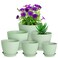 Meowell 7/6.2/5.5/5/4.5/4 inch Plant Pots, 6 Pack Flower Pots for Small Indoor Outdoor Plants, Plastic Planters with Drainage Holes and Saucers for Garden Succulent House Plants, Green