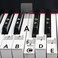 runzoos 2 Sheets Piano Key Stickers for 88/76/61/54/49 Keys, Removable Piano Stickers for Beginners, Piano Keyboard Stickers for Kids, Keyboard Stickers for Piano Keys, Piano Key Labels Notes (Black)