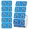 500pcs 2025 Stickers, File Folder Year Labels 2025 Number Year Stickers 3/4x1-1/2 Inch 25 Year Labels Colored Self Adhesive Year Stickers 2025 for End Tab File Folders Office Supplies(Blue)
