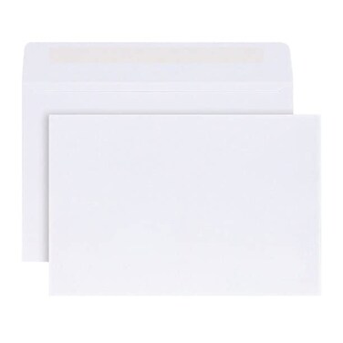 Reskid 100-Pack 6x9 Booklet Envelopes with Gummed Closure, 24lb White Wove Paper for Multi-Page Documents, Direct Mail Campaigns, and Professional Use. Stock Up and Save! (100)