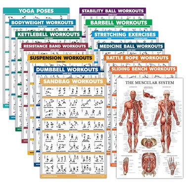 14 Pack - Exercise Poster Set: Dumbbell, Suspension, Kettlebell, Resistance Bands, Stretching, Muscular, Medicine Ball, Battle Rope, Bodyweight, Barbell, Yoga, Exercise Ball (LAMINATED, 18" x 24")