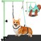 getlstub Dog Grooming Arm with Pet Grooming Hammock, 35" Pet Grooming Table Arm with Adjustable No Sit Haunch Holders, Dog Grooming Stand with Loop Noose for Small and Medium Pets, Green