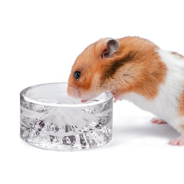 Niteangel Hamster Feeding &amp; Water Bowls- Mount Fuji Series Glass Drinking Bowls for Dwarf Syrian Hamsters Gerbils Mice Rats or Other Similar-Sized Small Pets