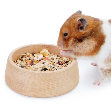 Niteangel Wooden Hamster Feeding Bowl - Small Animal Food Dish for Dwarf Syrian Hamsters Gerbils Mice Degus or Other Similar-Sized Small Pets (Hammy Pattern, for Syrian)