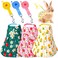 3 Piece Cute Rabbit Leash and Harness Set, Bunny Rabbit Dress Clothes Walking Harness Vest Escape Proof Pet Supply for Rabbit Hedgehog Ferret Guinea Pig (Peach, Pineapple, Strawberry)