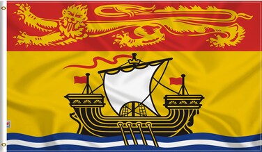 rhungift Canada New Brunswick Flag 3x5 Ft -Double Print Glossy Silk Satin Fabric Vivid Color -Canadian Province NB Flag Outdoor/Indoor Banner