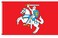 Fyon Historical State Flag of Lithuania banner 3x5ft