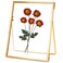 REDHUGO Glass Pressed Flower Frame Handmade, Floating Picture Frames for Pressed Flowers, Tabletop Artwork Photo Frames, Brass Desk Picture Frame for Home Office Plant Specimen, Gold, 5x7 Inches