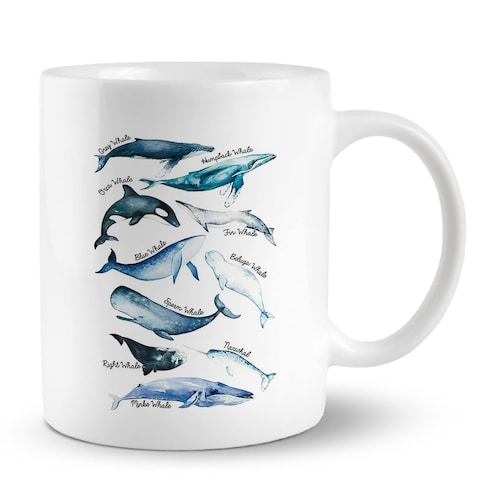 PUHEI Species of Whales Watercolor Print 11 Ounces Ceramic Mug Cup, Marine Animal Coffee Tea Mug Cup,Home Girls Room Dorm Office Decor, Whale Gifts For Birthday Christmas, Whale Lovers Gifts