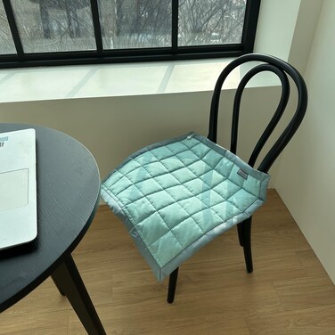 shieldgreen Grounding Square Pad for Sleep -Stainless Steel Fabric, 20x20 inch (Mint), Dog and cat grounding mat