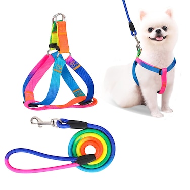 PetsHome Dog Harness &amp; Leash Set Adjustable No Pull Safe Nylon Pet Harness with Leash for Outdoor Walking for Dogs Small Rainbow