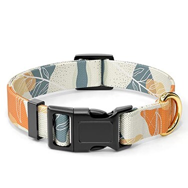 Rnivvi Dog Collar for Small Dogs, Cute Heavy Duty Adjustable Puppy Collar with Quick Release Buckle for Boy Girl &amp; Female, Pet Accessories for Walking Running, S Length 3/4" Width, Abstract Leaves