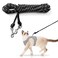 Extra Long Cat Leash for Yard, Lightweight Outdoor Cat Leash Long Light Extension, Long Thin Lead for Rabbits, Kitten, Puppy and Small Animals (4.5M/ 15FT)