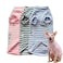 Sphynx Cat Clothes Hairless Cat Clothes Cat Summer Pure Cotton Skin-Friendly Devon Clothes Cat Clothing for Small Cats and Dogs (Grey, Large)