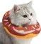 Amakunft Adjustable Cat Cone Collar Soft, Cat Recovery Collar, Cone for Cat After Surgery, Cat Neck Cone, Elizabethan Collar for Cat and Kitten (Donut M (Neck:6"-13"))