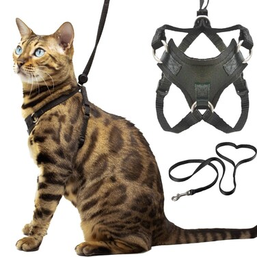 Houdini&trade; Escape Proof Cat Harness and Leash Set by OutdoorBengal for Walking Cats and Kittens (Soft Mesh, Kitten)